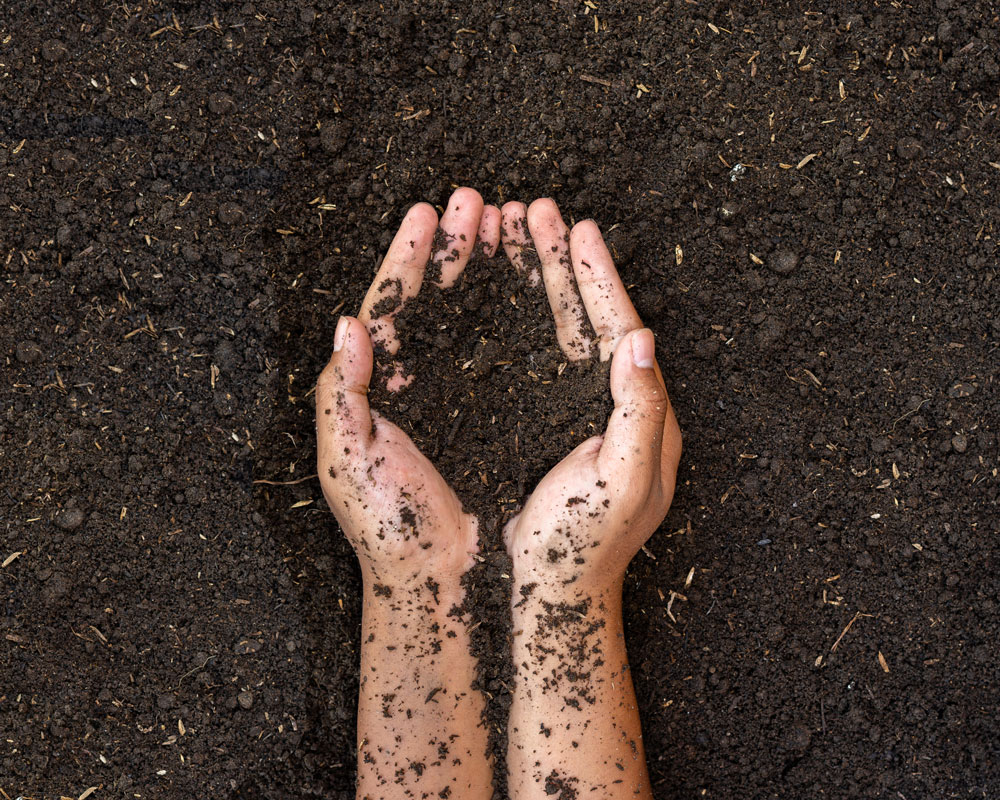 Soil image - hands holding soil.